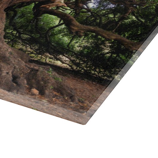 Rustige Olijfboom Snijplank (Hoek)