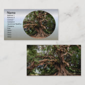 Rustige Olijfboom Visitekaartje (Voorkant / Achterkant)