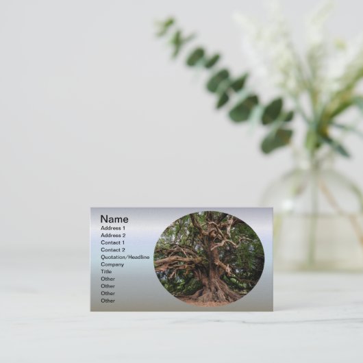 Rustige Olijfboom Visitekaartje (Staand voorkant)