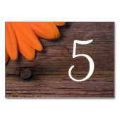 Rustige Oranje Daisy Barn Wedding Table Numbers Kaart (Achterkant)