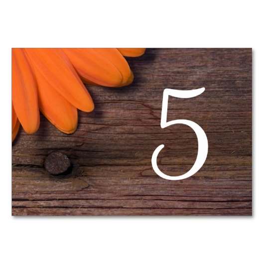 Rustige Oranje Daisy Barn Wedding Table Numbers Kaart (Achterkant)