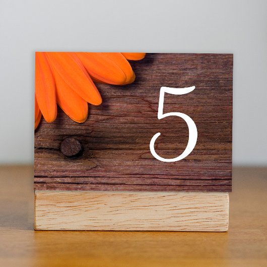 Rustige Oranje Daisy Barn Wedding Table Numbers Kaart