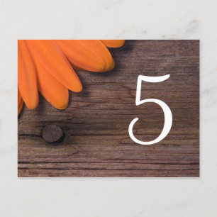 Rustige Oranje Daisy Country Wedding Table Numbers Briefkaart