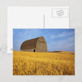 Rustige oude schuur in rijpe tarwevelden in de 2 briefkaart (Voorkant / Achterkant)