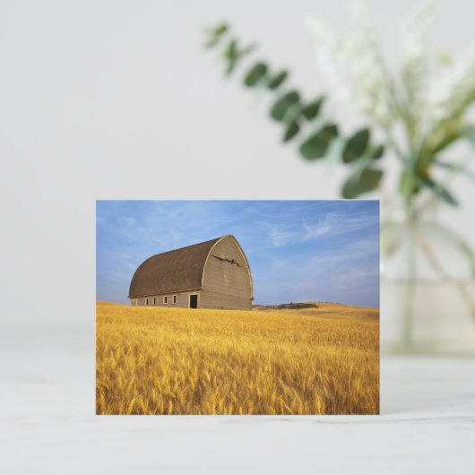 Rustige oude schuur in rijpe tarwevelden in de 2 briefkaart (Staand voorkant)