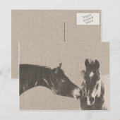 Rustige paardenkoppen briefkaart (Voorkant / Achterkant)