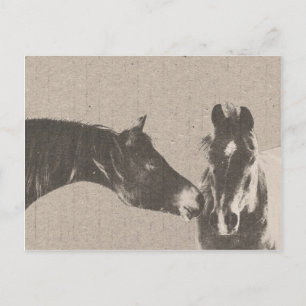 Rustige paardenkoppen briefkaart
