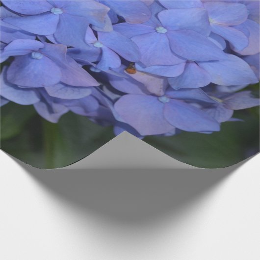 Rustige Paarse Hydrangea macrophylla Cadeaupapier (Hoek)