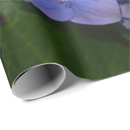 Rustige Paarse Hydrangea macrophylla Cadeaupapier (Rol Hoek)