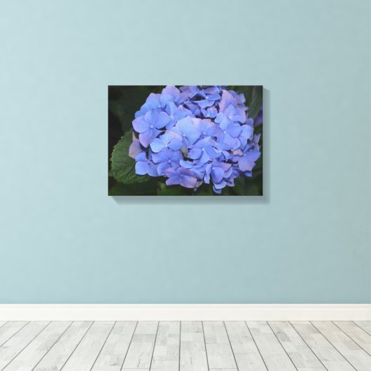 Rustige Paarse Hydrangea macrophylla Canvas Afdruk (Insitu (Houten vloer))