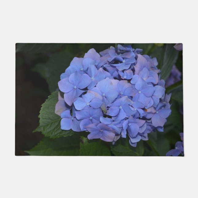 Rustige Paarse Hydrangea macrophylla Deurmat (Voorkant)