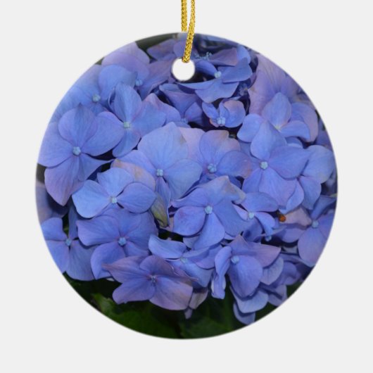 Rustige Paarse Hydrangea macrophylla Keramisch Ornament (Voorkant)