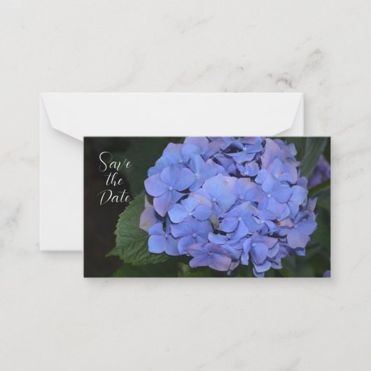 Rustige Paarse Hydrangea macrophylla Notitiekaartje (Voorkant)