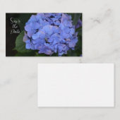 Rustige Paarse Hydrangea macrophylla Notitiekaartje (Voorkant / Achterkant)