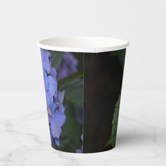 Rustige Paarse Hydrangea macrophylla Papieren Bekers (Rechts)