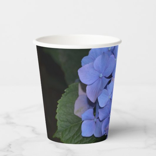 Rustige Paarse Hydrangea macrophylla Papieren Bekers (Voorkant)