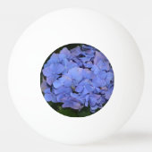 Rustige Paarse Hydrangea macrophylla Pingpongbal (Voorkant)