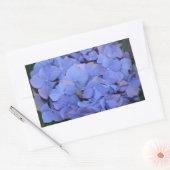 Rustige Paarse Hydrangea macrophylla Rechthoekige Sticker (Envelop)