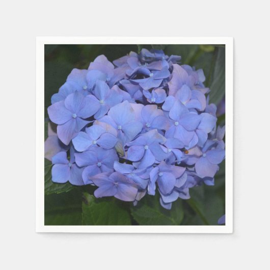 Rustige Paarse Hydrangea macrophylla Servet (Voorkant)
