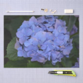 Rustige Paarse Hydrangea macrophylla Tissuepapier (Craft)