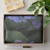Rustige Paarse Hydrangea macrophylla Tissuepapier (Geschenk)