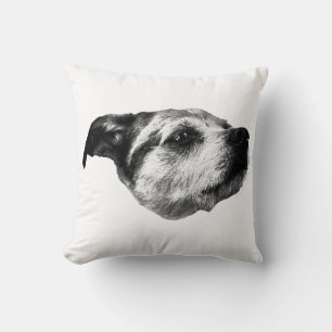 Rustige pompoenbaan — Terrier Kussen