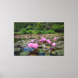 Rustige reflecties: roze waterlelies canvas afdruk