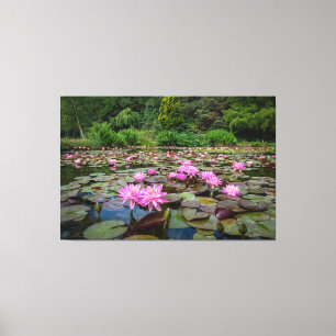 Rustige reflecties: roze waterlelies canvas afdruk