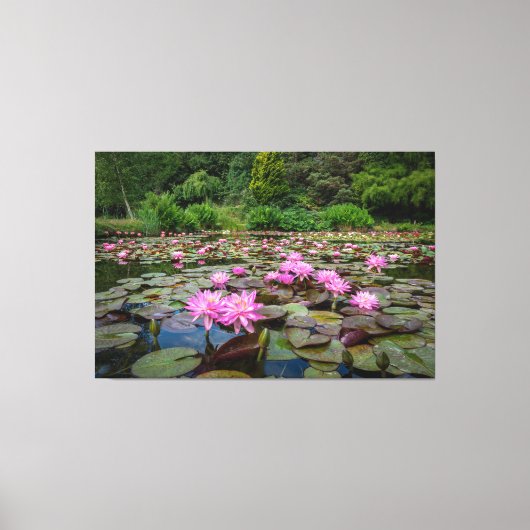 Rustige reflecties: roze waterlelies canvas afdruk (Voorkant)