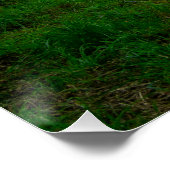 Rustige rivier Elwy en St Asaph-brug Perfect Poster (Hoek)