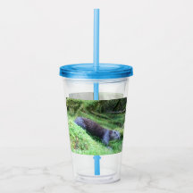 Rustige rivierotter landschappelijk wild ontspanne
