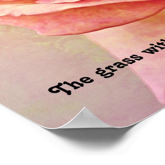 Rustige Roos Scripts Fotografische Art Afdrukken Poster (Hoek)