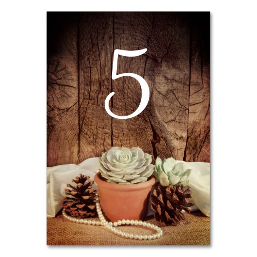 Rustige Succulents Barn Wood Wedding Table Numbers Kaart (Voorkant)
