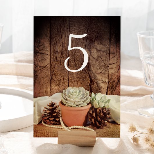 Rustige Succulents Barn Wood Wedding Table Numbers Kaart