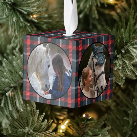 Rustige, traditionele paardenpestaarten foto 4 decoratie (Boom)