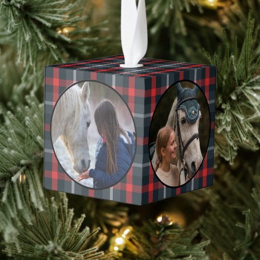 Rustige, traditionele paardenpestaarten foto 4 decoratie (Boom)