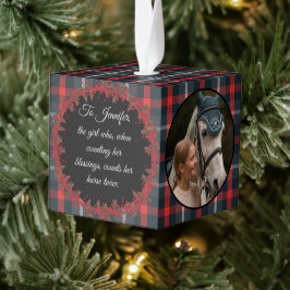 Rustige, traditionele paardenpestpaardenpet 3 foto decoratie