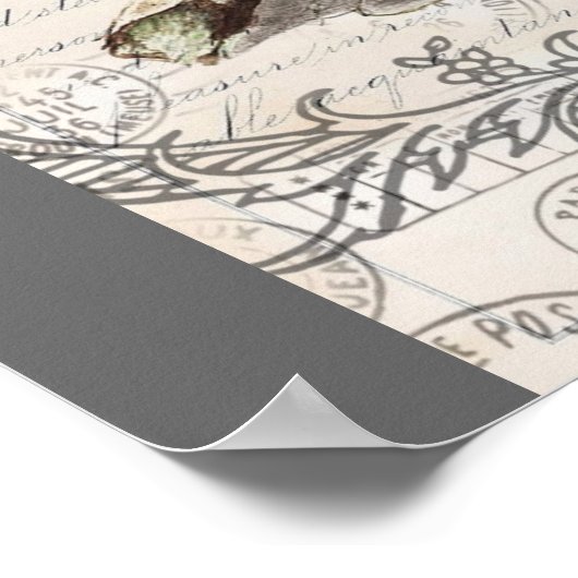 rustige tsjechië : botanisch vogelnest poster (Hoek)