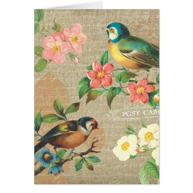 Rustige  vogels en bloemen Shabby Elegance (Voorkant)