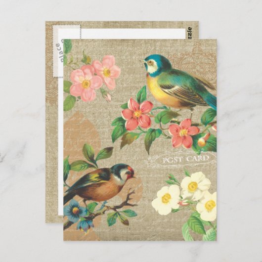 Rustige vogels en bloemen Shabby Elegance Briefkaart (Voorkant / Achterkant)