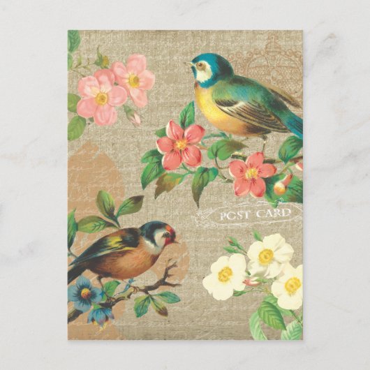 Rustige vogels en bloemen Shabby Elegance Briefkaart (Voorkant)