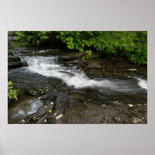 Rustige waterval in het bos poster (Voorkant)