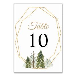 Rustige Waterverf bergen Pine Winter Wedding Kaart