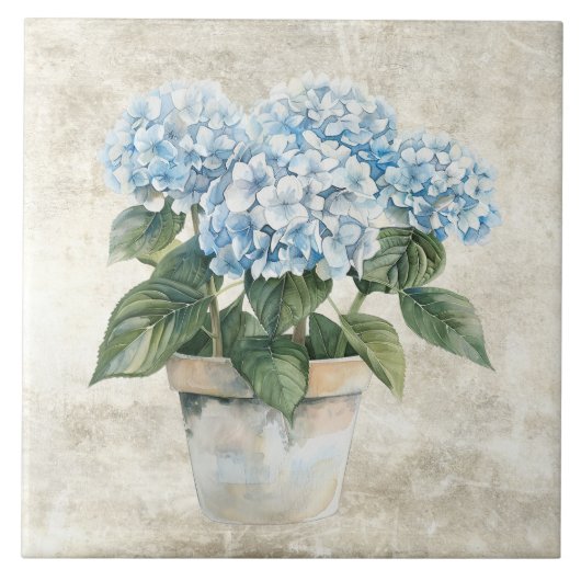 Rustige waterverf blauwe Hortensia Tegeltje (Voorkant)