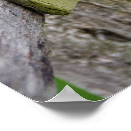 Rustige Weathered Fence Post Poster (Hoek)