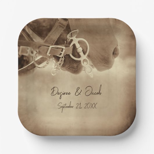 Rustige Westerne bruine paardenweddenschap Papieren Bordje (Voorkant)