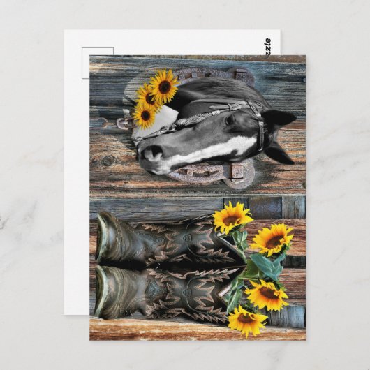 Rustige Westerne paarden Cowboylaarzen Zonnebloeme Briefkaart (Voorkant / Achterkant)