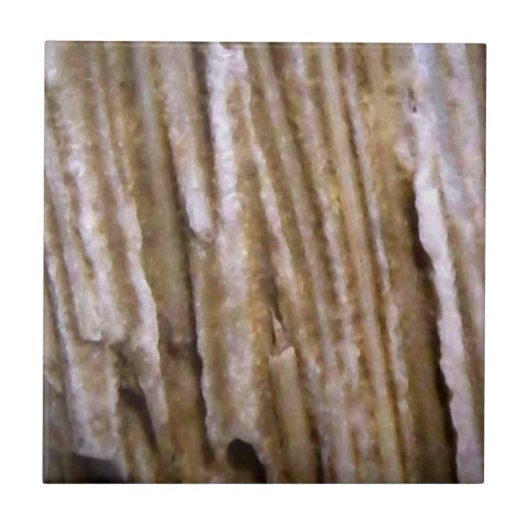 Rustige Westerne Petrified Wood Designer Tile Tegeltje (Voorkant)