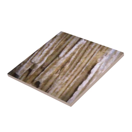 Rustige Westerne Petrified Wood Designer Tile Tegeltje (Zijkant)