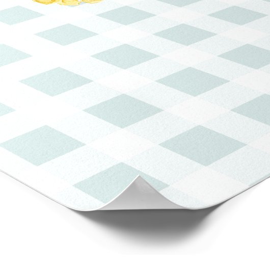 Rustige Wildflower Mason Jar Baby shower Sign. Poster (Hoek)